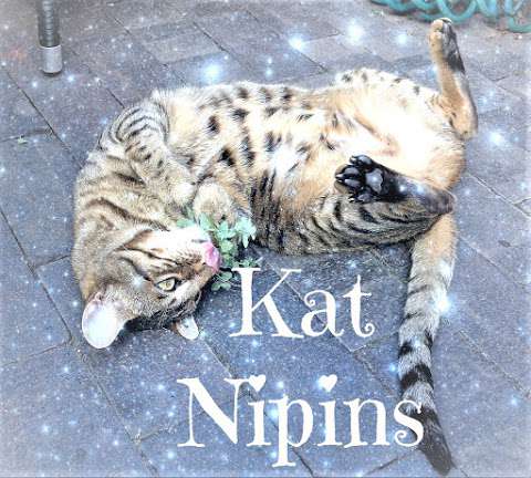 Kat Nipins photo